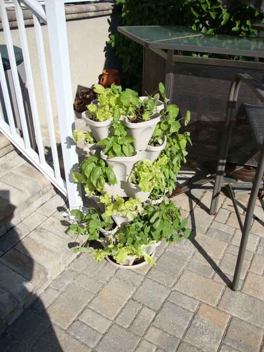 199392_10150159391221952_4009259_n