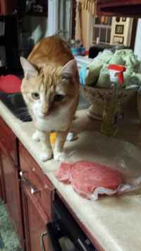 image-20160201_183949