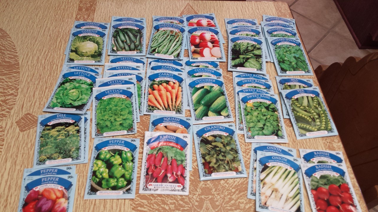 Dollar Store Gardening Part 1 –&nbsp;Seeds