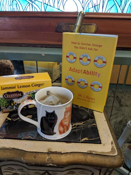 AdaptAbility and Jammin Lemon Ginger