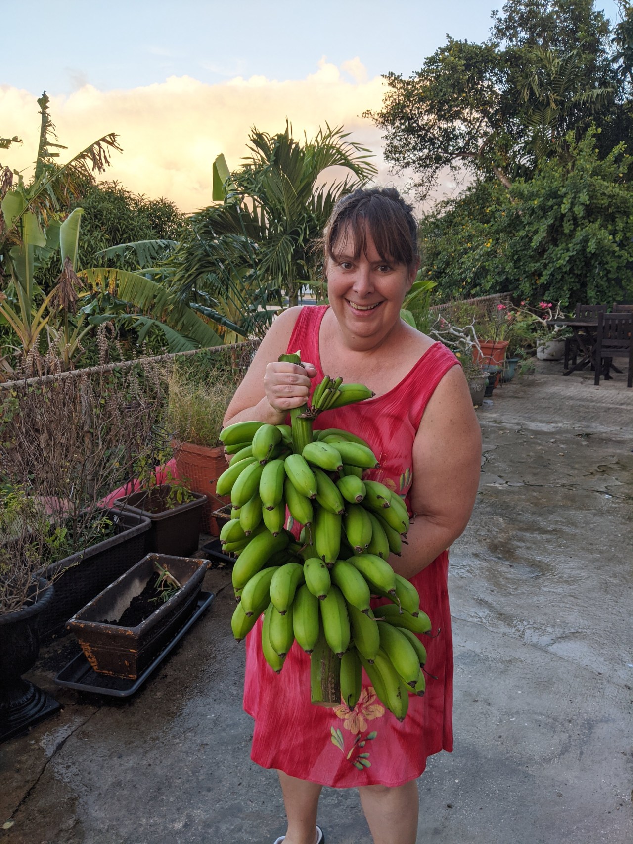 My Guam Micro-Homestead